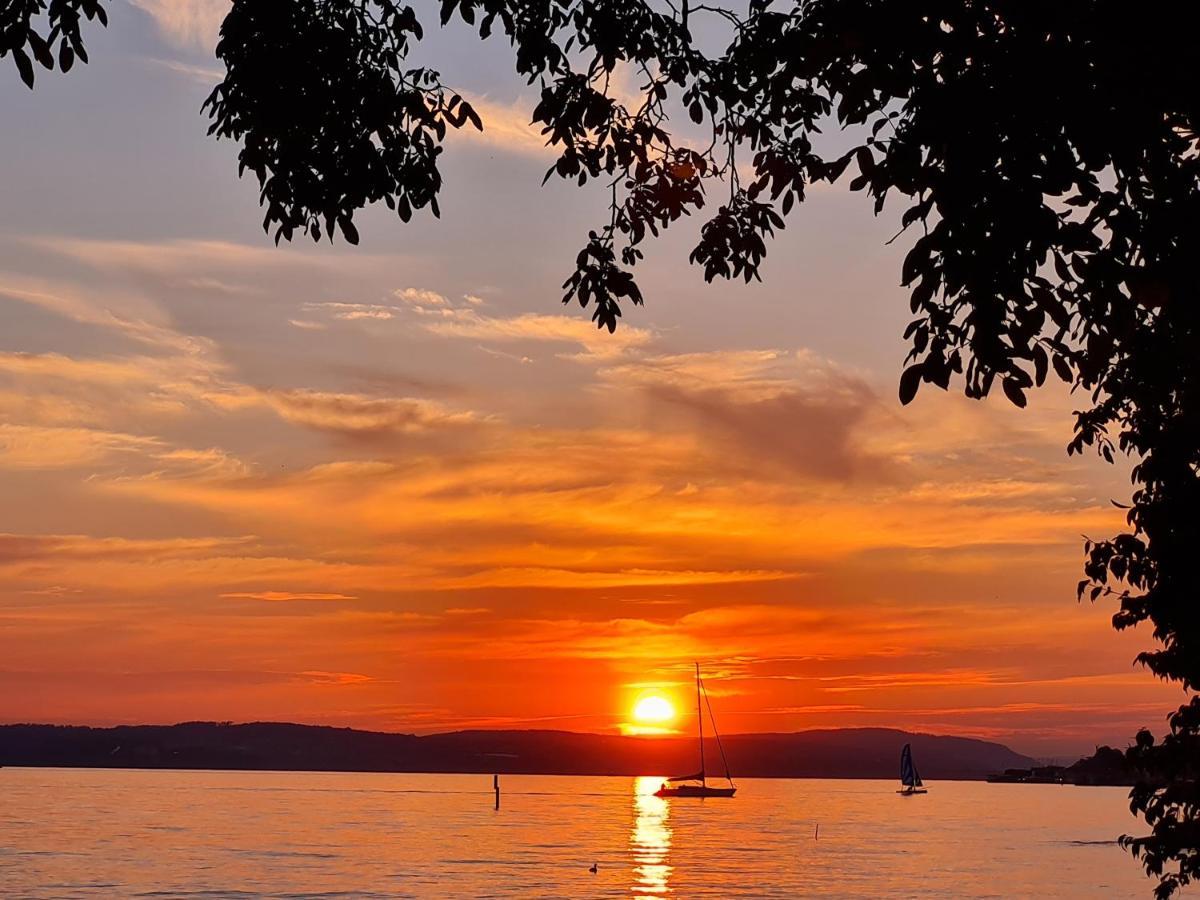 Studio Bodensee 다이젠도르프 외부 사진